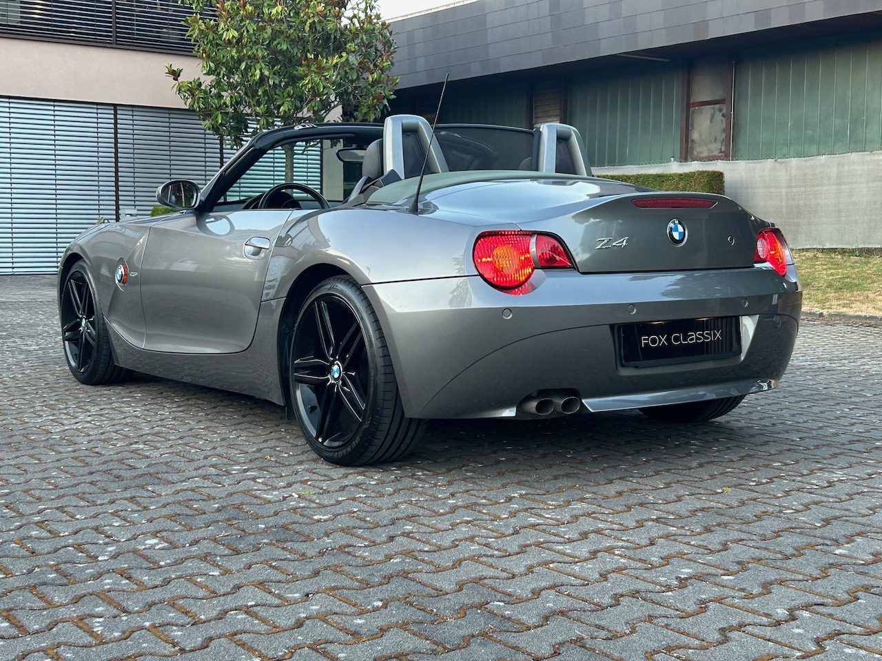 IMG_5558