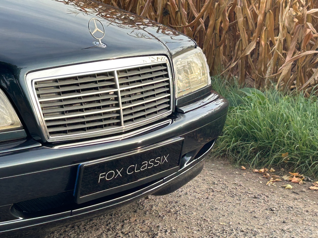 IMG_6591